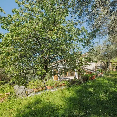 Vakantiehuis Casali By Interhome Montignoso