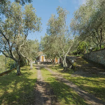 Casali By Interhome Montignoso